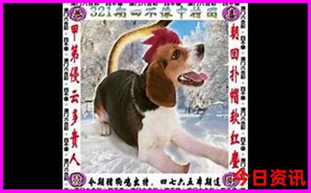 7月份去贵州大忌